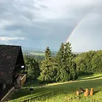 Trausibauer Stainz
