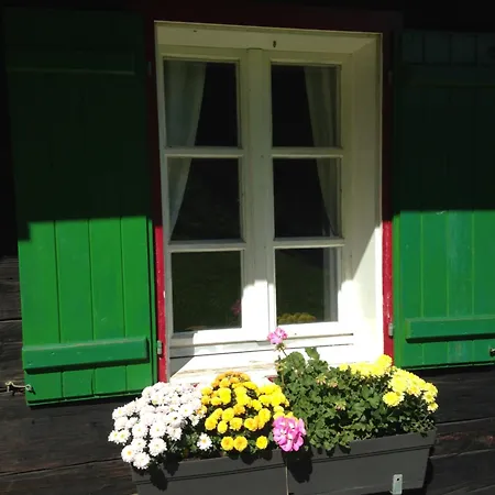 Trausibauer * Stainz